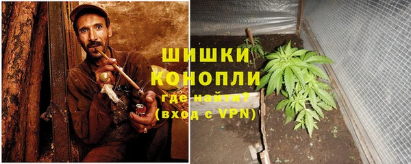 прущая мука Богородск