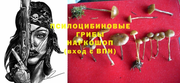 прущая мука Богородск